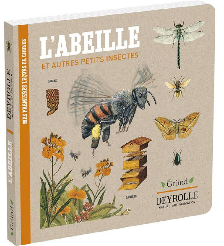 L-ABEILLE ET AUTRES PETITS INSECTES - DEYROLLE - PELISSIER/ALADJIDI - GRUND