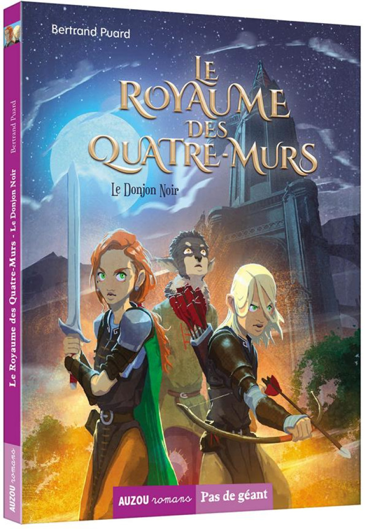 LE ROYAUME DES QUATRE-MURS - T01 - LE ROYAUME DES QUATRE-MURS - LE DONJON NOIR - PUARD/VALLEE - PHILIPPE AUZOU