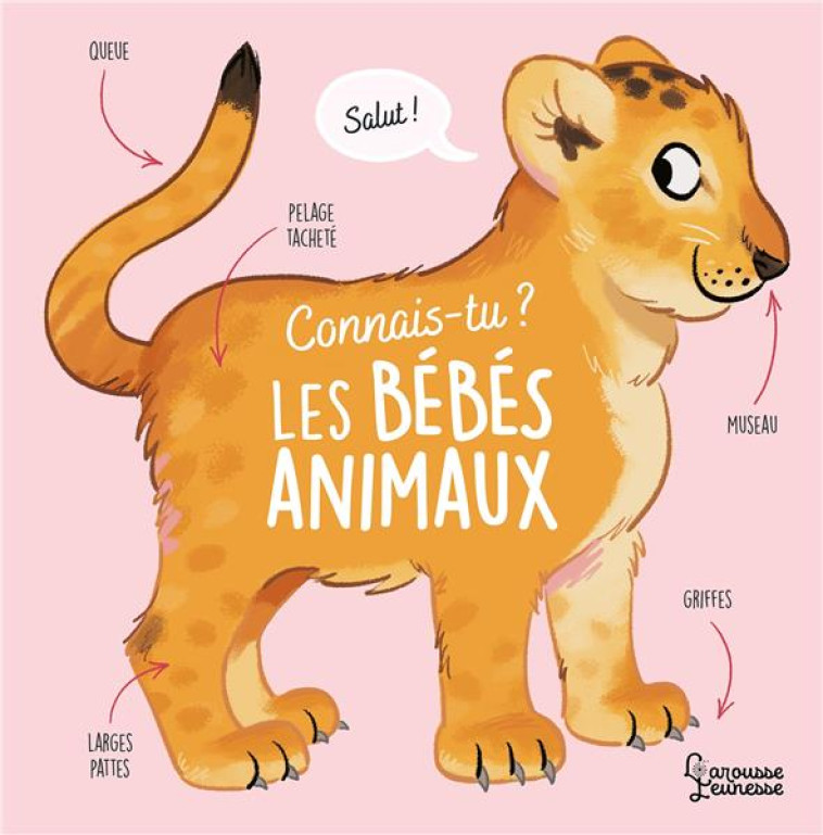 CONNAIS-TU LES BEBES ANIMAUX ? - LE GALL OLIVIER - LAROUSSE