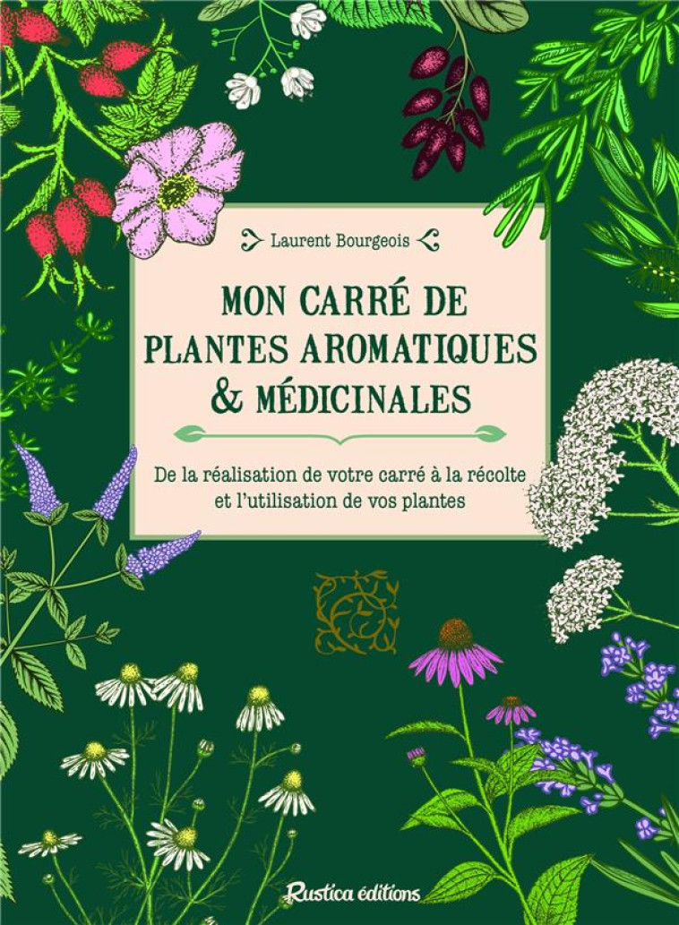 MON CARRE DE PLANTES AROMATIQUES & MEDICINALES - DE LA REALISATION DE VOTRE CARRE A LA RECOLTE ET L- - BOURGEOIS LAURENT - RUSTICA