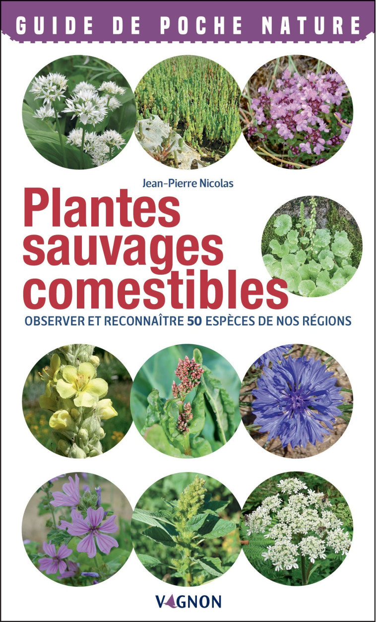 PLANTES SAUVAGES COMESTIBLES - OBSERVER ET RECONNAITRE 50 ESPECES DE NOS REGIONS - Jean-Pierre Nicolas - VAGNON