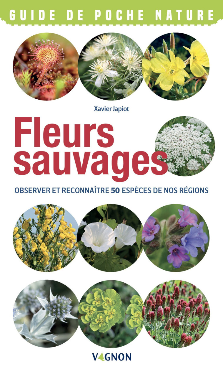 FLEURS SAUVAGES - OBSERVER ET RECONNAITRE 50 ESPECES DE NOS REGIONS - Xavier Japiot - VAGNON