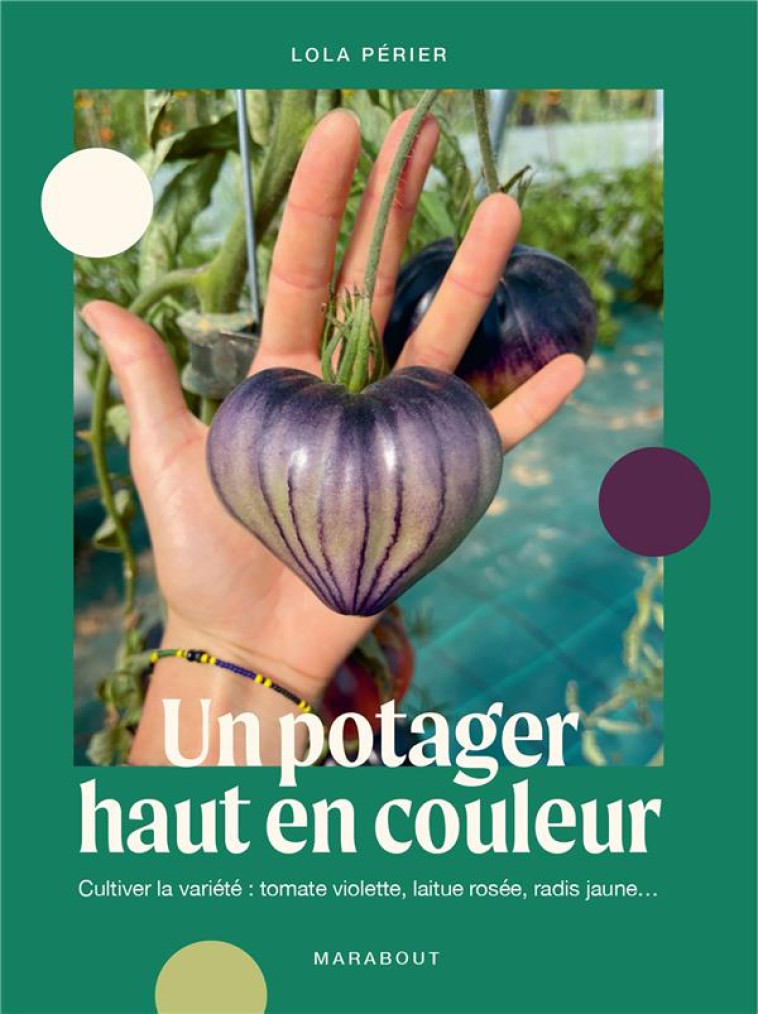 UN POTAGER HAUT EN COULEUR - CULTIVER LA VARIETE : TOMATE VIOLETTE, LAITUE ROSEE, RADIS JAUNE - PILLU PERIER LOLA - MARABOUT