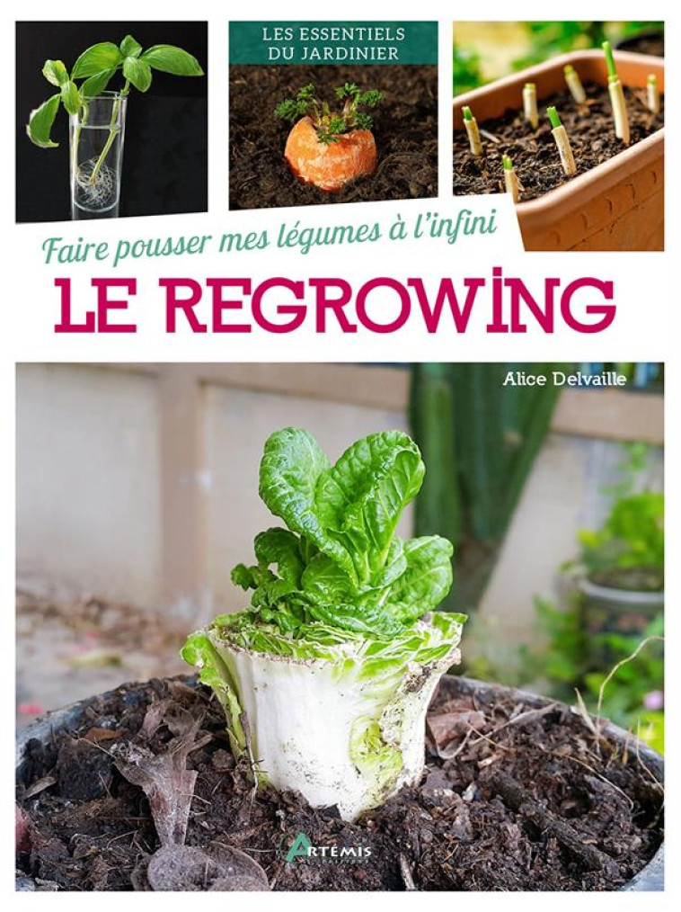 FAIRE POUSSER MES LEGUMES A L-INFINI : LE REGROWING - A. DELVAILLE - ARTEMIS