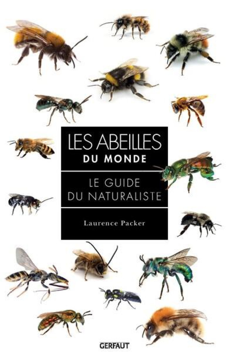 LES ABEILLES DU MONDE - LE GUIDE DE NATURALISTE - EDITION ILLUSTREE - PACKER LAURENCE - GERFAUT