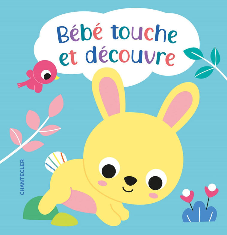 Bébé touche et découvre -  Collectif - CHANTECLER