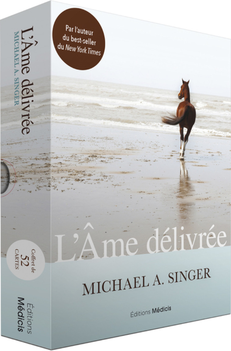 L'Ame délivrée - Michael A. Singer, Emilie Hendrick-Heller - MEDICIS