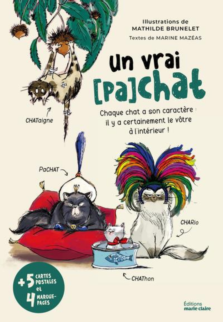 UN VRAI (PA)CHAT - CHAQUE CHAT A SON CARACTERE : IL Y A CERTAINEMENT LE VOTRE A L-INTERIEUR ! - MAZEAS/BRUNELET - NC