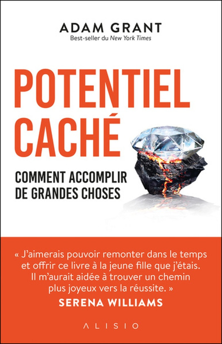 POTENTIEL CACHE - COMMENT ACCOMPLIR DE GRANDES CHOSES - GRANT ADAM - ALISIO