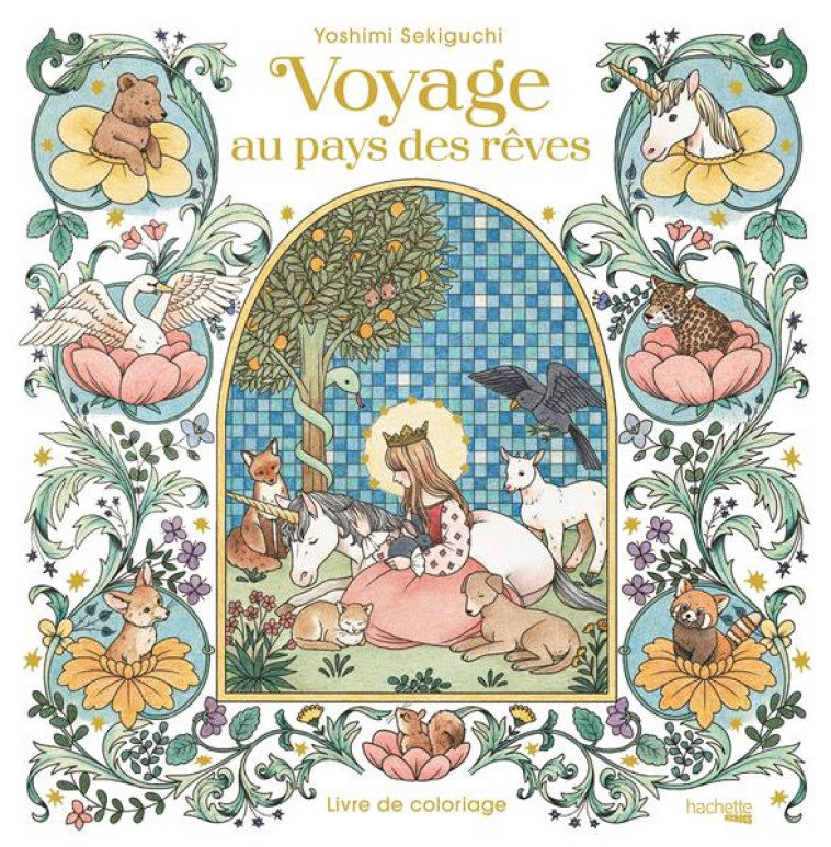 VOYAGE AU PAYS DES REVES - LIVRE DE COLORIAGE - SEKIGUSHI YOSHIMI - HACHETTE