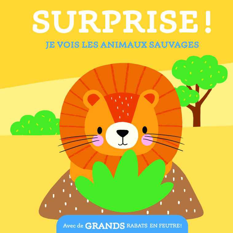 Je vois les animaux sauvages / surprise - XXX - TAM TAM EDTS