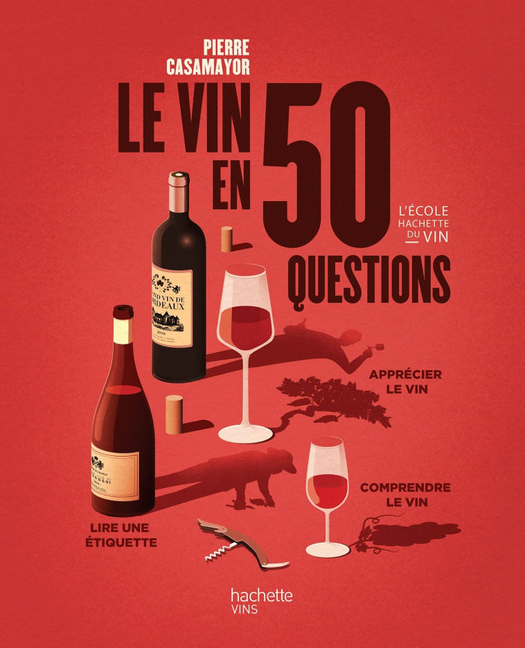 Le vin en 50 questions - Casamayor Pierre - HACHETTE PRAT