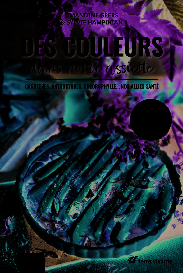 Des couleurs dans notre assiette - Amandine Geers, Olivier Degorce, Sylvie Hampikian - TERRE VIVANTE