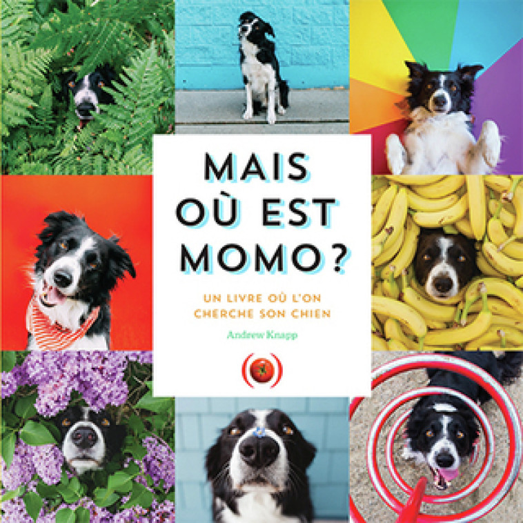 Mais où est Momo ? - Andrew Knapp,  l'éditeur - GRANDES PERSONN