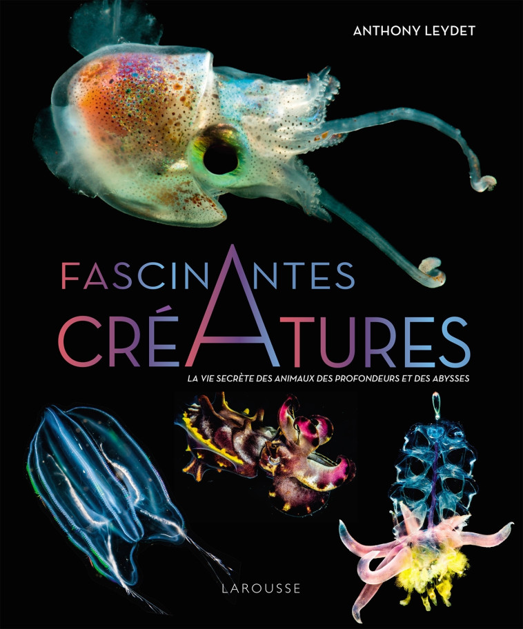 Fascinantes créatures, la vie secrète des animaux des profondeurs et des abysses - Anthony Leydet - LAROUSSE