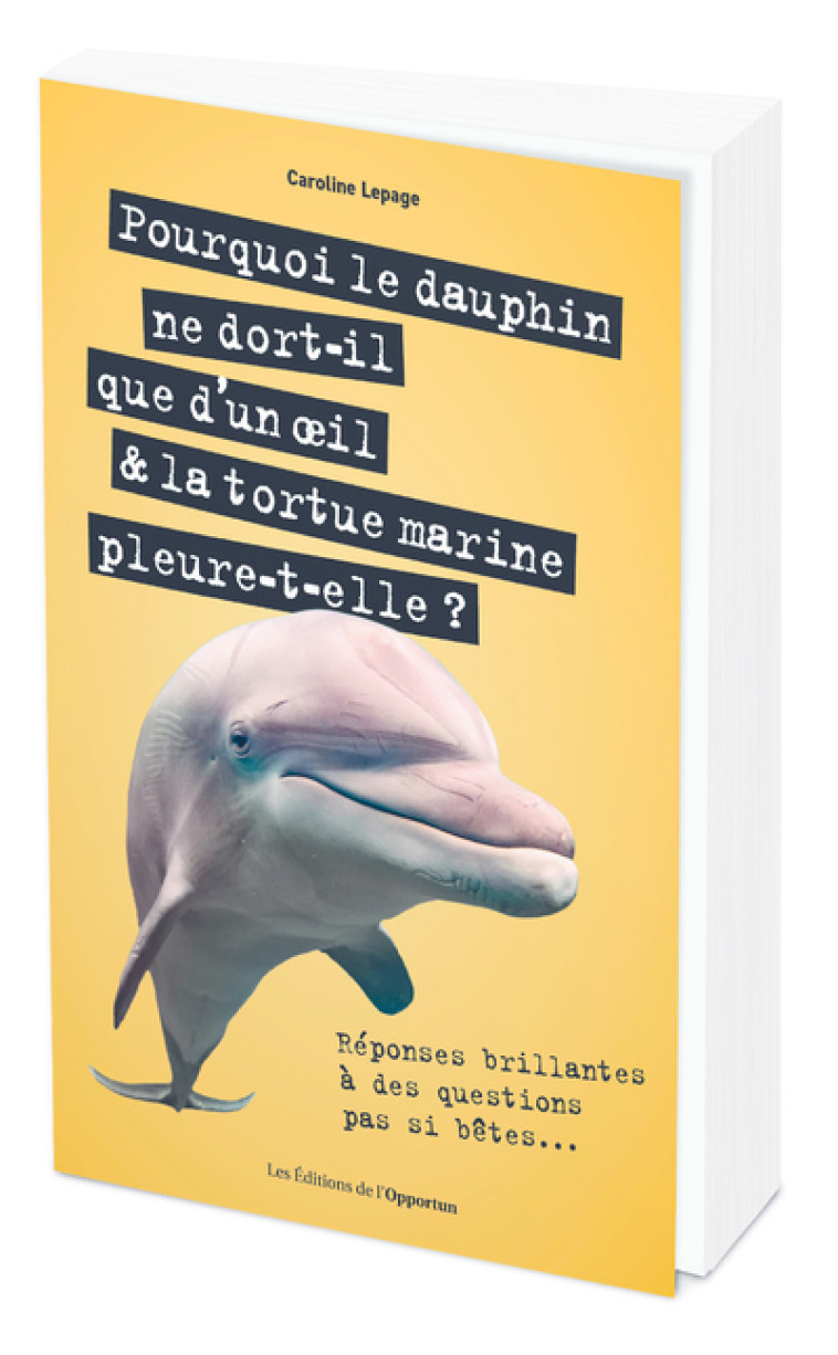 Pourquoi le dauphin ne dort-il que d'un oeil &amp; la tortue marine pleure-t-elle ? - Réponses brillante - Caroline Lepage - OPPORTUN