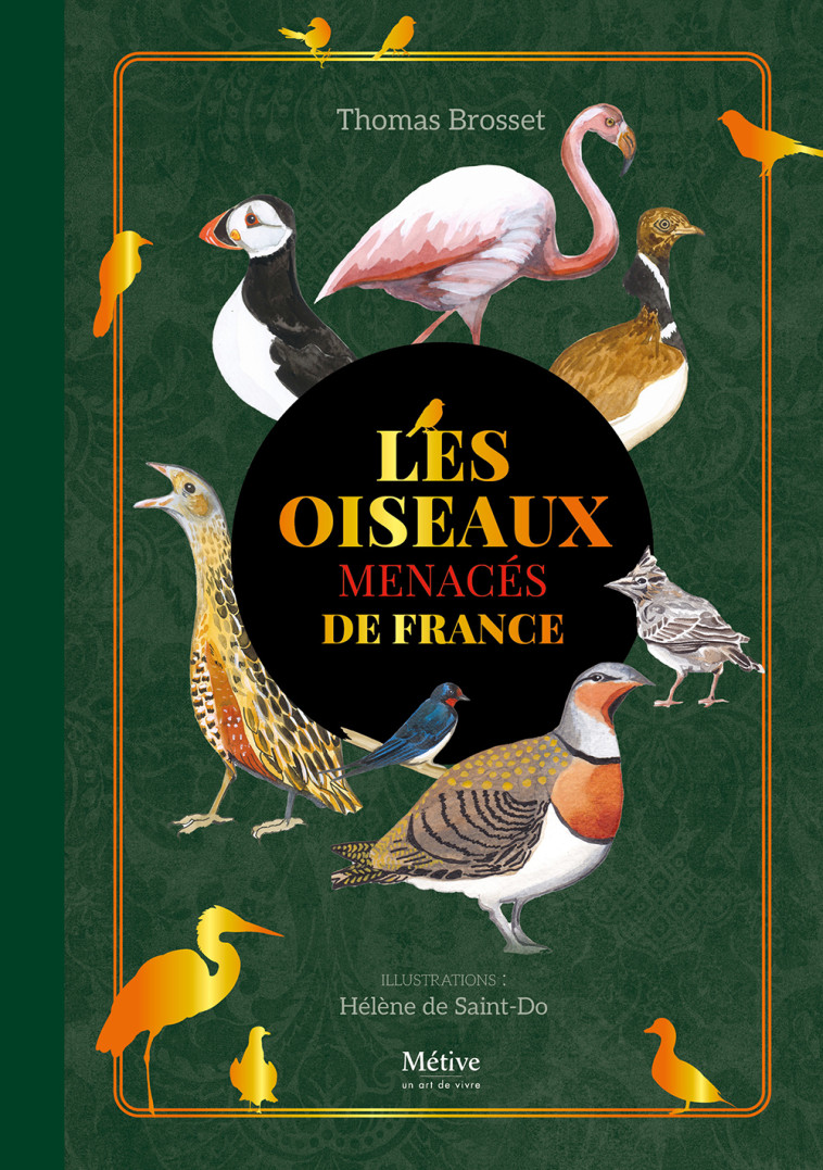 Les oiseaux menacés de France - Thomas Brosset - METIVE