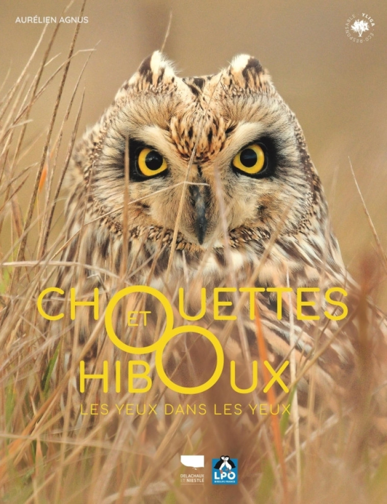 Chouettes et hiboux - Aurélien Agnus - DELACHAUX