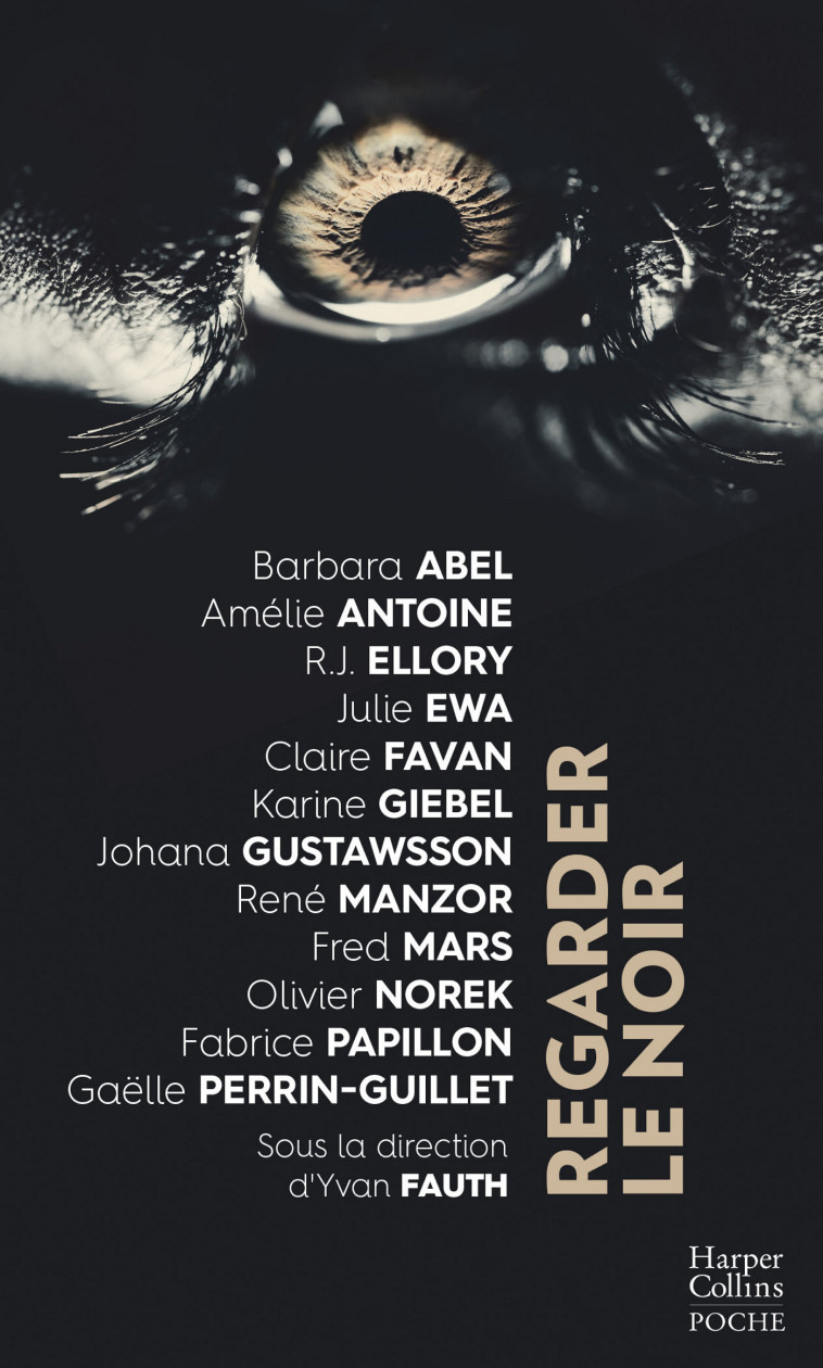 Regarder le noir - Barbara Abel, Olivier Norek, Fabrice Papillon, Gaëlle Perrin-Guillet, Amélie Antoine, R.J. Ellory, Julie Ewa, Claire Favan, Karine Giebel, Johana Gustawsson, René Manzor, Frédéric Mars, Barbara Abel, Olivier Norek, Fabrice Papillon, Gaë