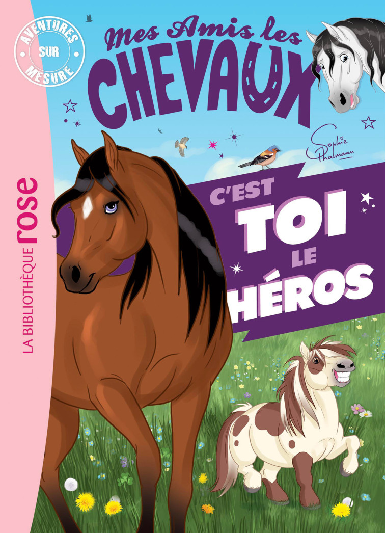 Mes amis les chevaux - Aventures sur mesure XXL - Hachette Livre, Catherine Kalengula, Sophie Thalmann - HACHETTE JEUN.