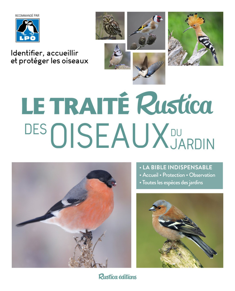 Le traité Rustica des oiseaux du jardin - Guilhem Lesaffre, Guilhem Lesaffre - RUSTICA