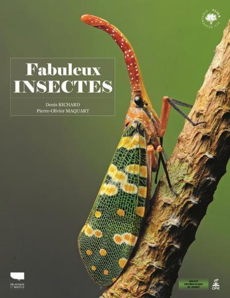 Fabuleux insectes - Denis Richard, Pierre-Olivier Maquart - DELACHAUX