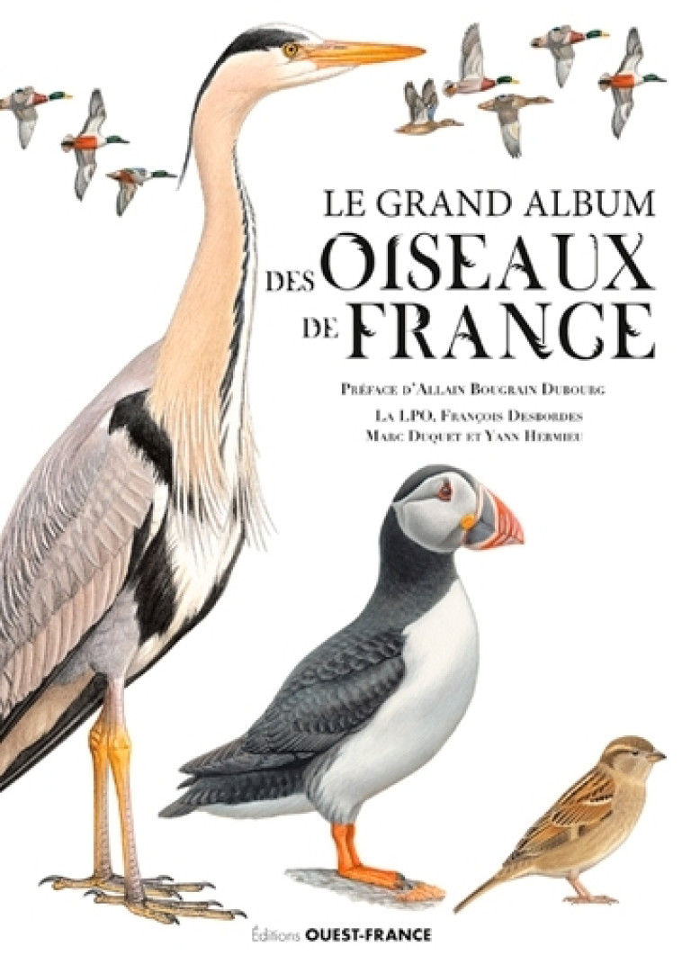 Le grand album des oiseaux de France - François Desbordes, collectif LPO - OUEST FRANCE