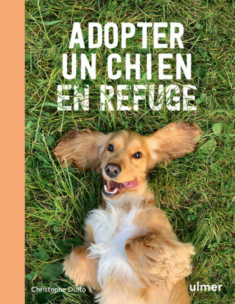 Adopter un chien en refuge - Christophe Duffo - ULMER