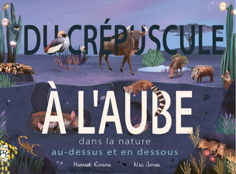 Au-dessus et en-dessous... du crépuscule à l'aube (provisoire) - Harriet Evans - TIGRE ET CIE