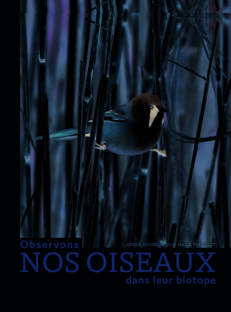 Observons nos oiseaux dans leur biotope - Andre Burnel - RACINE BE