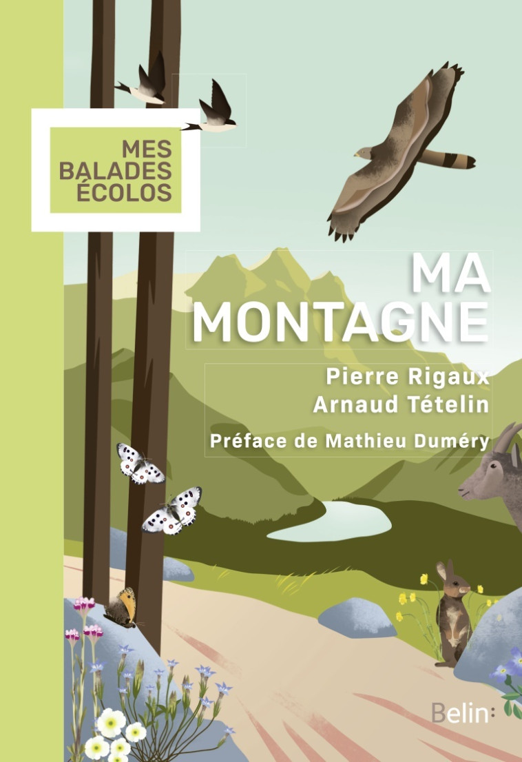 Ma montagne - Pierre RIGAUX - BELIN