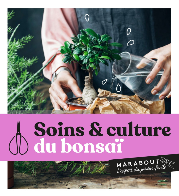 Soins et culture du bonsaï -   - MARABOUT