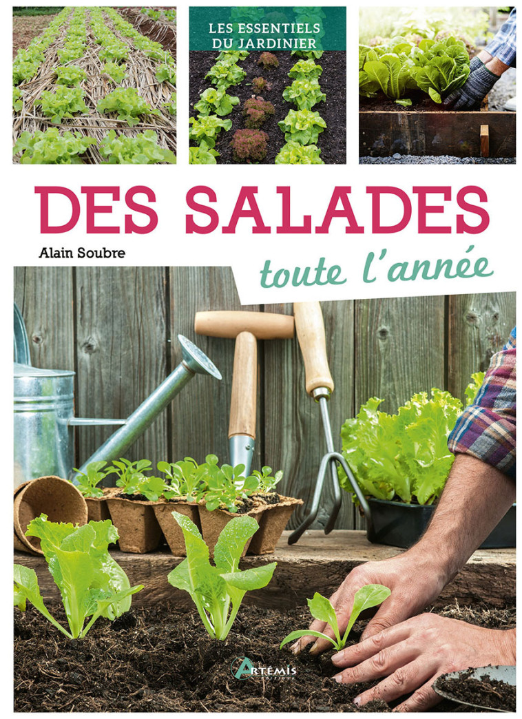 Salades toute l'année (Des) - Alain Soubre - ARTEMIS