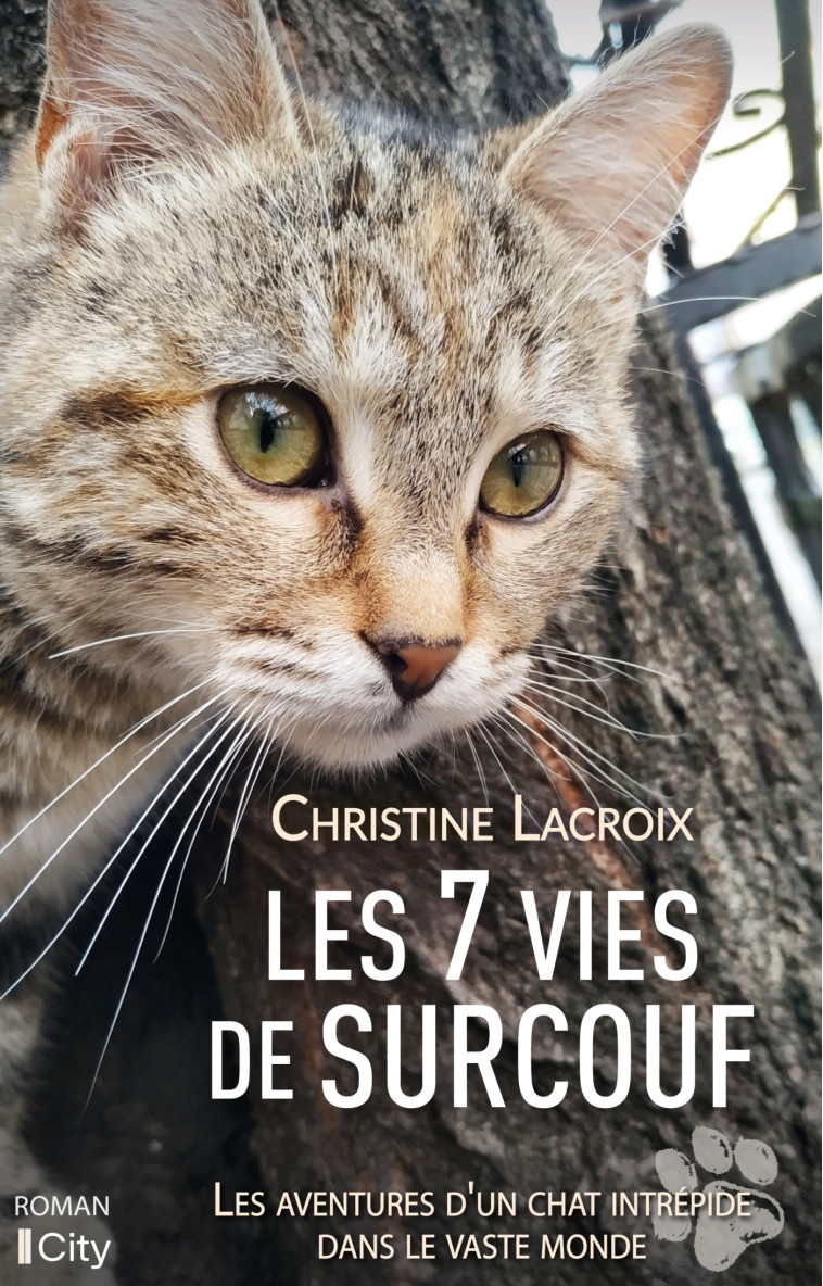 Les sept vies de Surcouf - Christine Lacroix - CITY