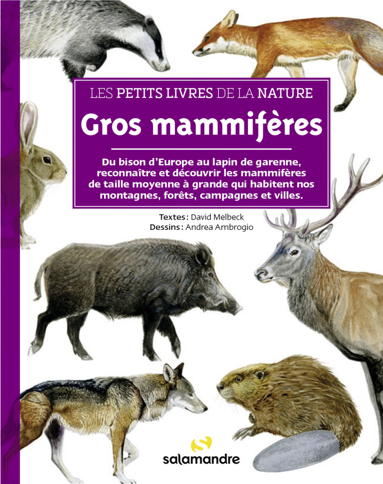 Les petits livres de la nature - Gros mammifères - David MELBECK - LA SALAMANDRE