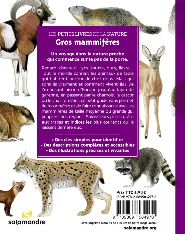 Les petits livres de la nature - Gros mammifères - David MELBECK - LA SALAMANDRE