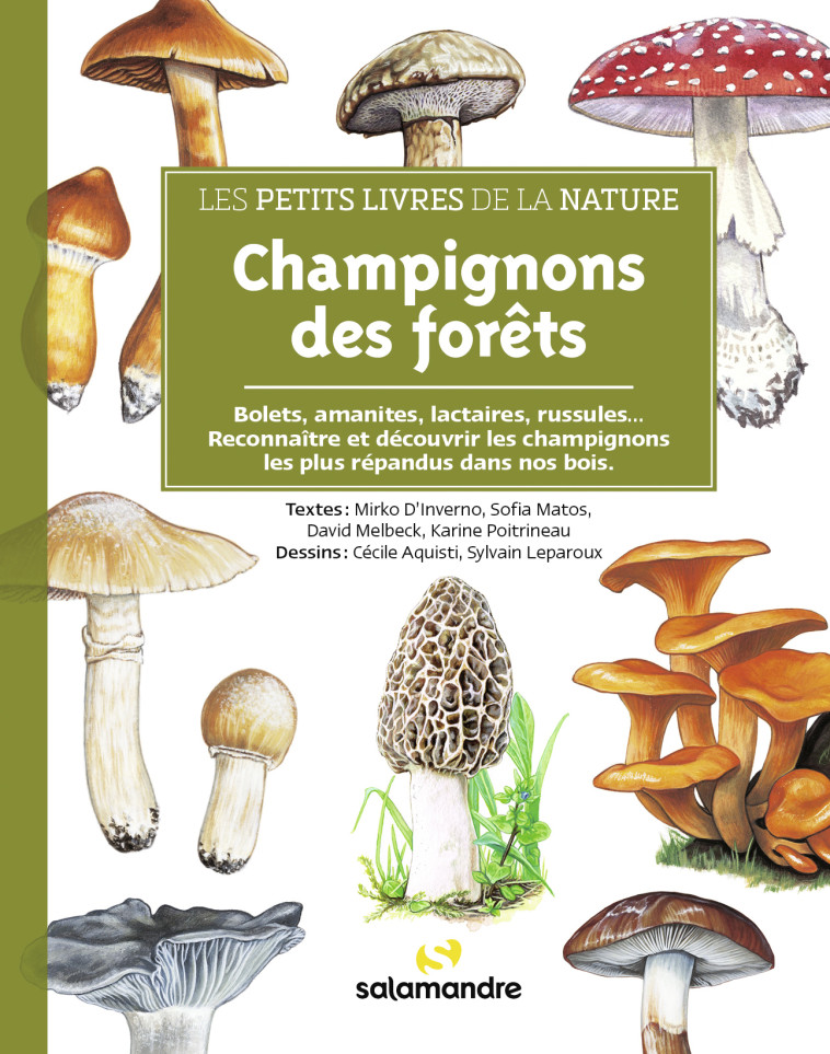 Les petits livres de la nature - Champignons des forêts - David MELBECK - LA SALAMANDRE