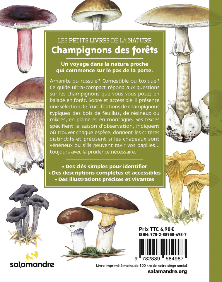 Les petits livres de la nature - Champignons des forêts - David MELBECK - LA SALAMANDRE