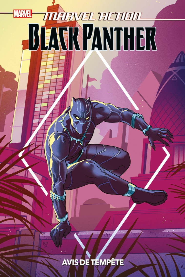 Marvel Action Black Panther : Avis de tempête - Kyle Baker - PANINI