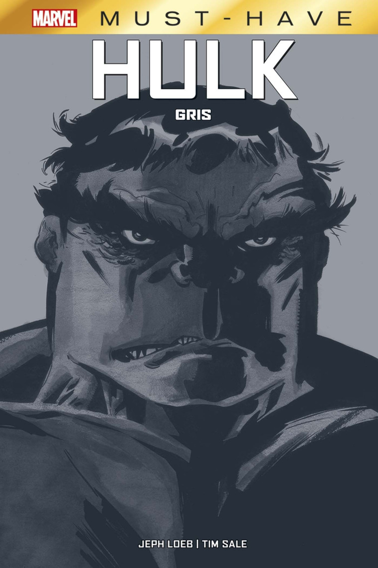 Hulk : Gris - Jeph Loeb - PANINI