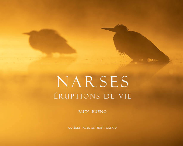 Narses, éruptions de vie - Rudy Bueno - RUDY BUENO