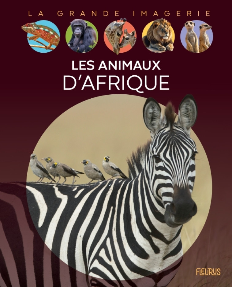 Les animaux d'Afrique - Sabine Boccador - FLEURUS