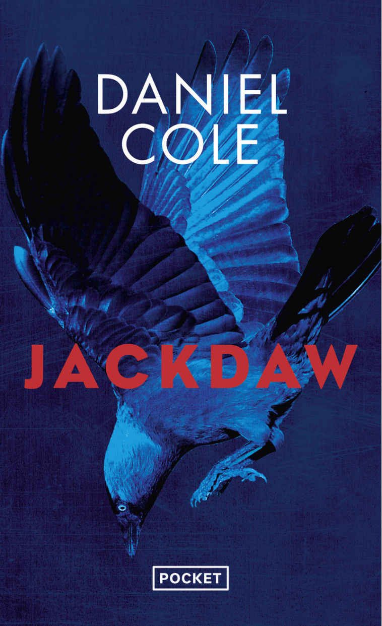 Jackdaw - Daniel Cole, Magali Duez - POCKET